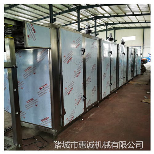 高效智能的果蔬烘干解決方案 詳解不銹鋼網(wǎng)帶烘干機(jī)及其生產(chǎn)線